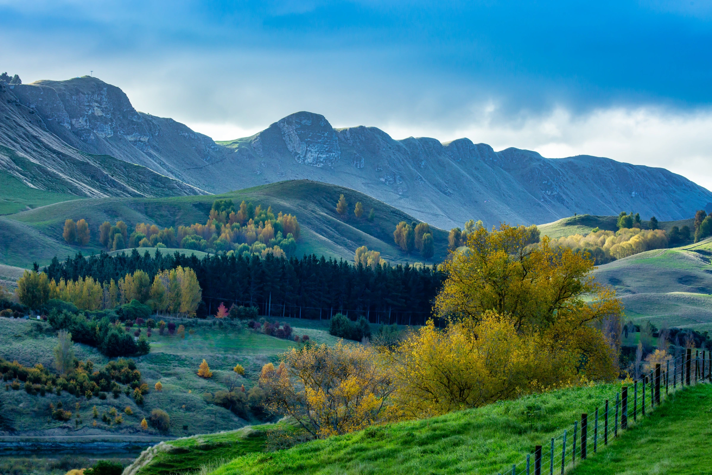 Hawke's_Bay[1].webp